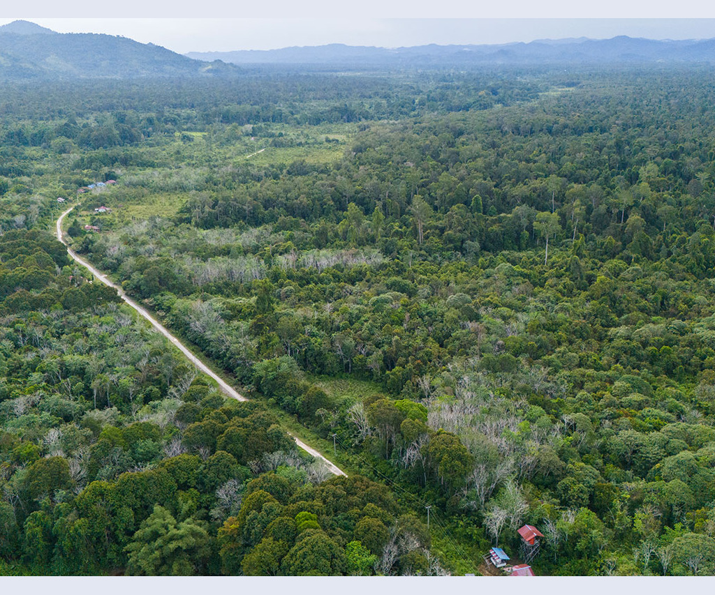Aerial View of Sungai Ajung village