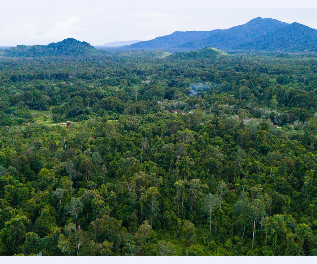 Aerial view of Sungai Ajung village
