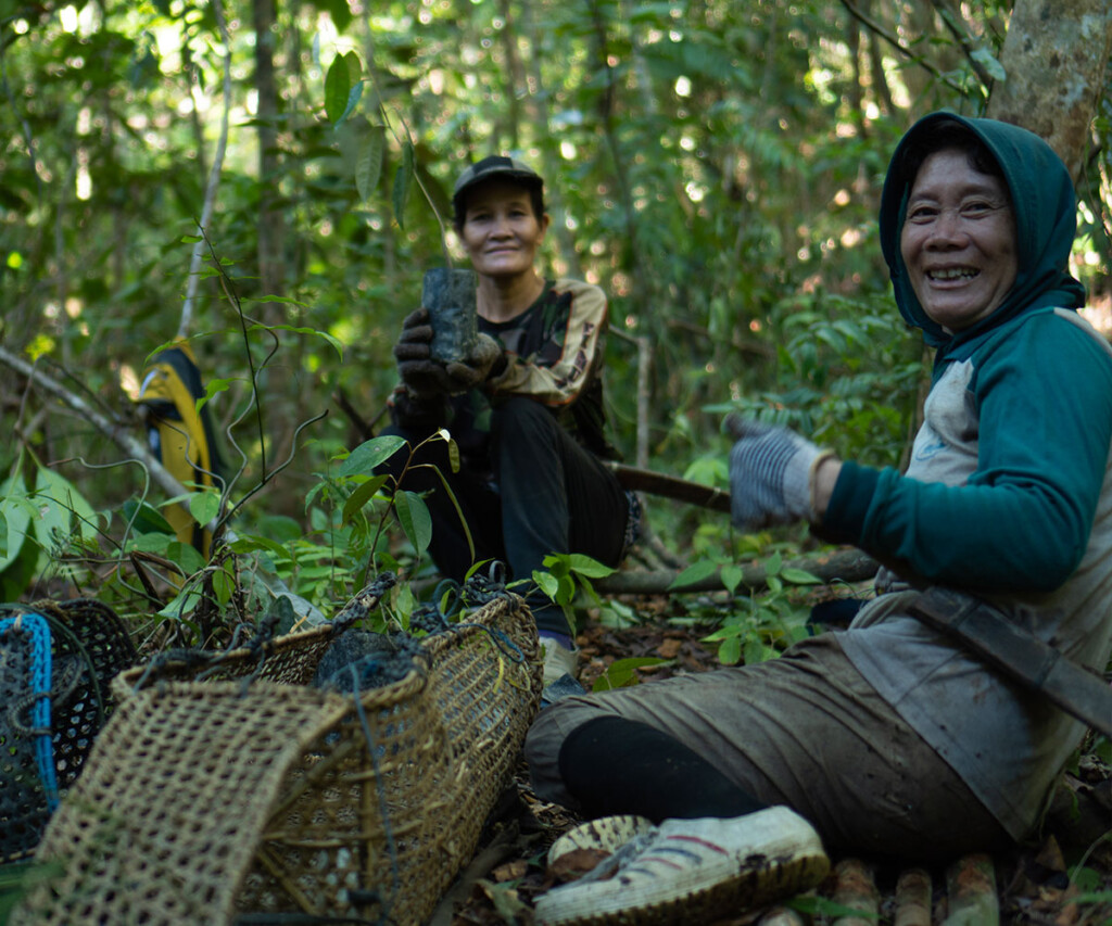 Dayak community members participating in the planting process as part of the restoration programme. Local community members participating in the planting process as part of the restoration programme.