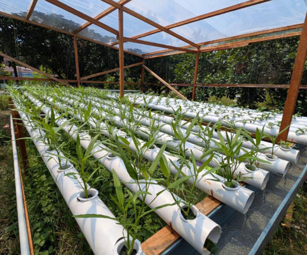 Hydroponic demonstration plots designed for sustainable farming with locally available materials